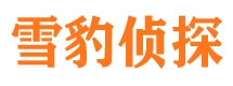 莎车市私家侦探